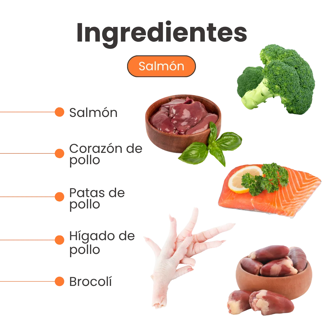 Alimento Húmedo Completo Chef's Recipe Salmón Kanu Pet para Gatos - Image 3