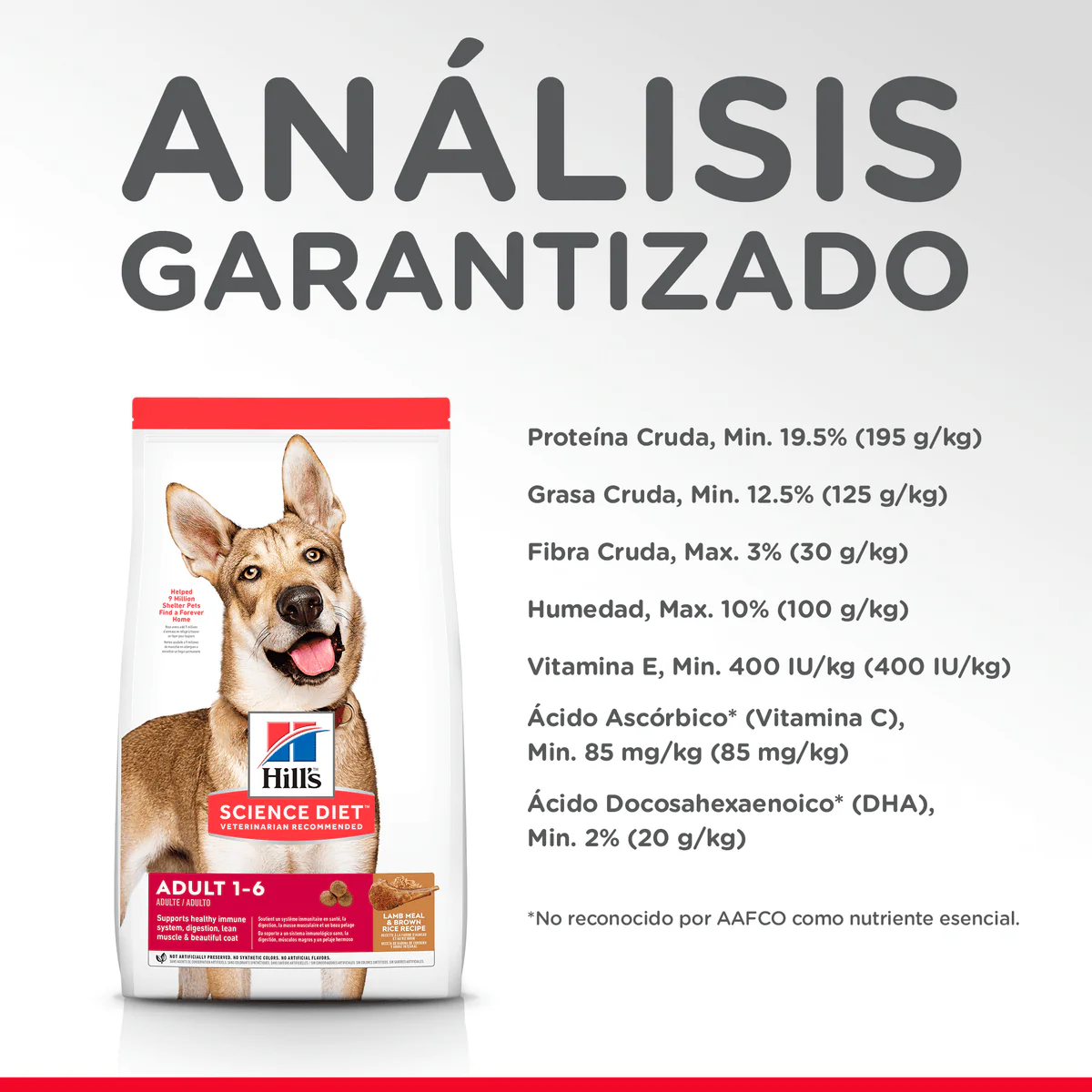 Alimento Seco para perro Hills Canino Adulto Cordero Y Arroz - Image 7