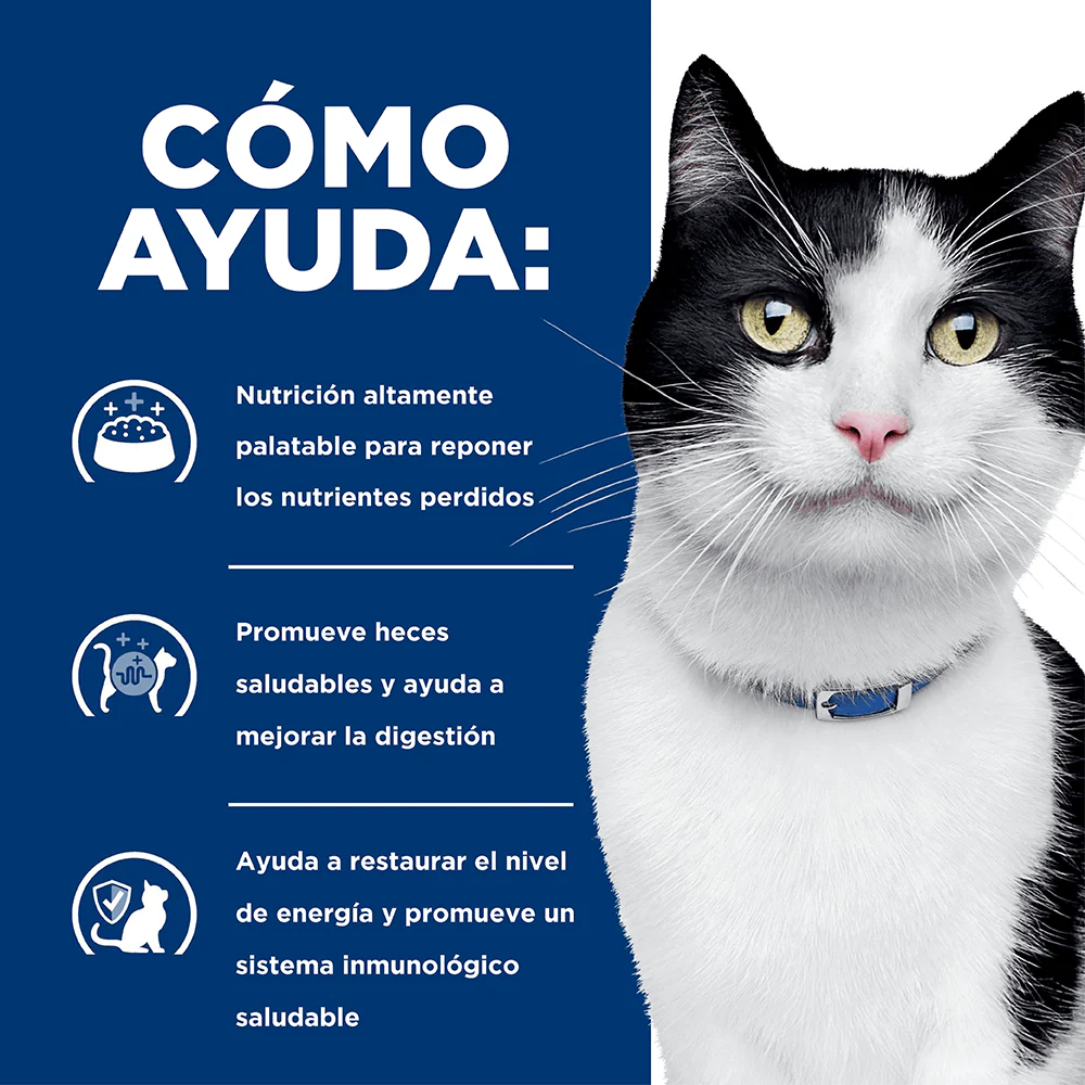 Alimento Húmedo Hills Felino I/D para Gato Lata - Image 3
