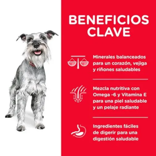 Alimento Seco Hills Canino Senior Toy Breed para Perro - Image 5