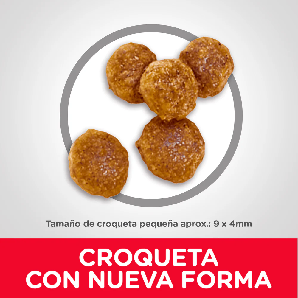 Alimento Seco para perro Hills Adulto Small Bites - Image 4