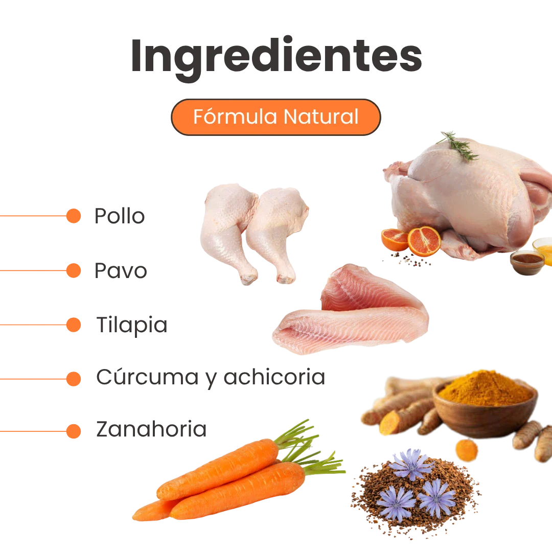 Alimento Húmedo Medicado Kanu Vet GastroIntestinal para Perros Adultos - Image 3