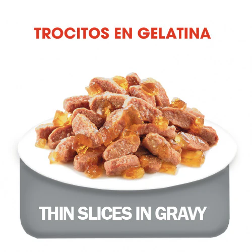 Alimento para gato Royal canin Lata Kitten - Image 3