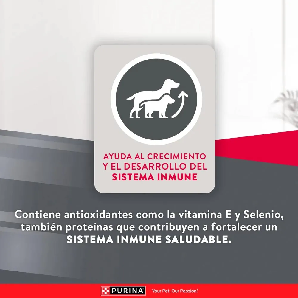 Alimento Excellent Chicken Rice  Para Perro  Puppy - Image 8