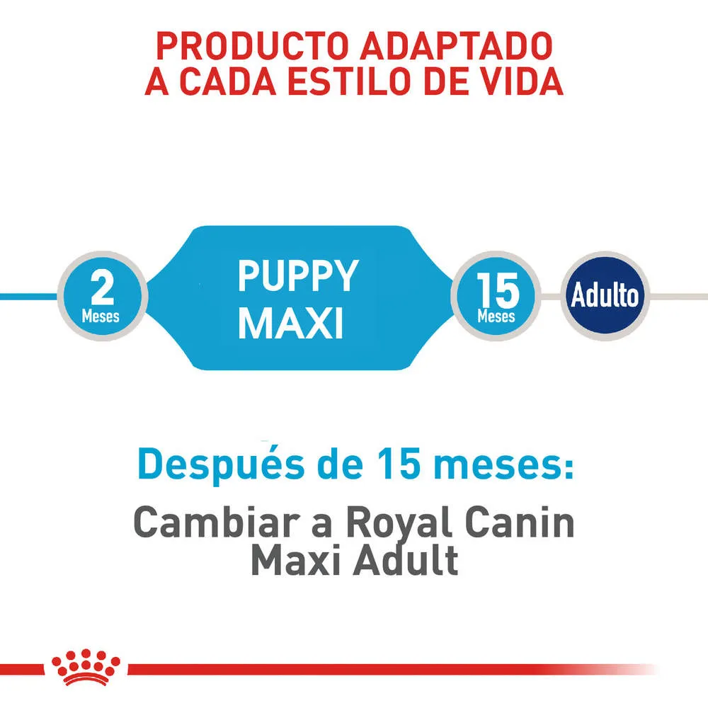 Alimento para perro Royal Canin Maxi Junior - Image 5