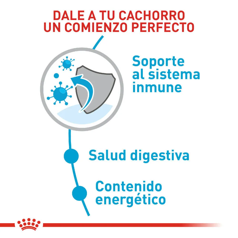 Alimento para perro Royal Canin Mini Puppy - Image 3
