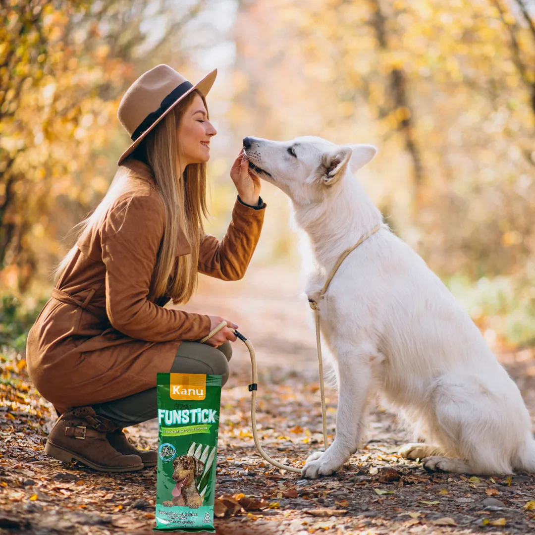 Snack Oral FunStick para la placa y el sarro Kanu Pet para Perro Sabor a Menta - Image 5