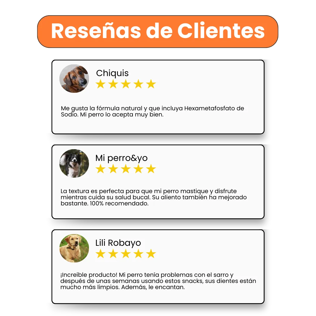 Nuggets Dental Care para la placa y el sarro Kanu Pet para Perro - Image 4