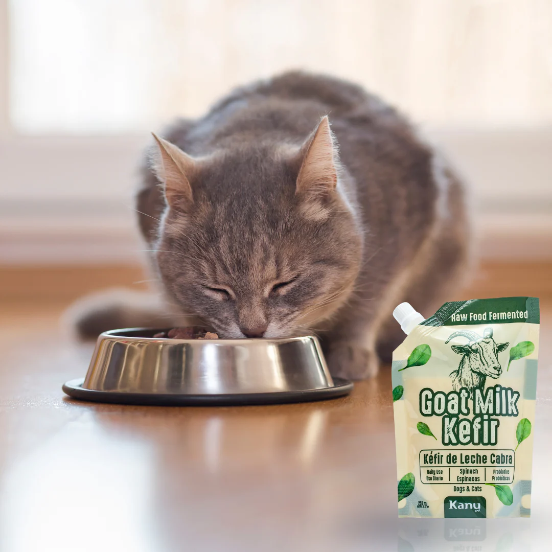 Kéfir Leche de cabra  Arándanos Kanu Pet para Perro y Gato Bolsa - Image 4
