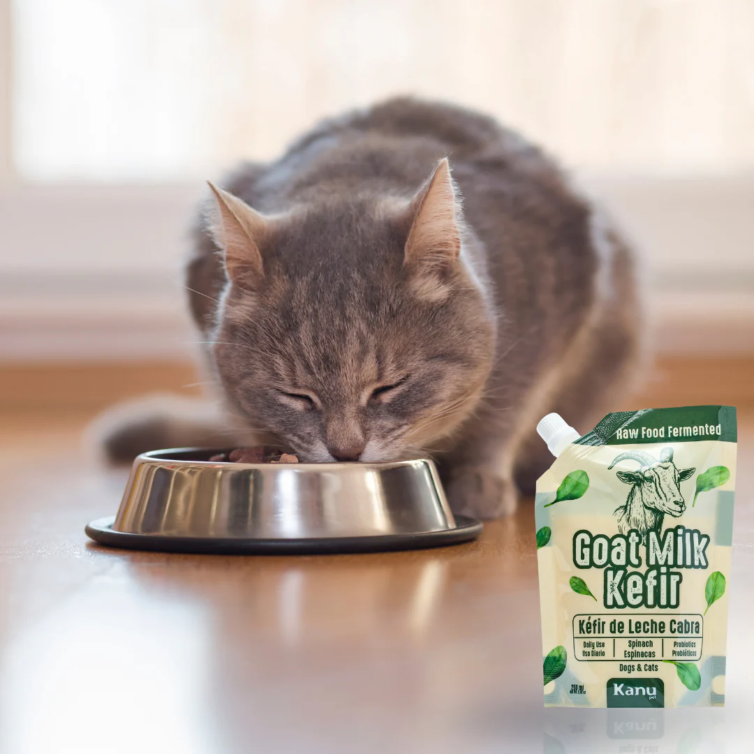 Kéfir Leche de cabra Espinaca Kanu Pet para Perro y Gato Bolsa - Image 4